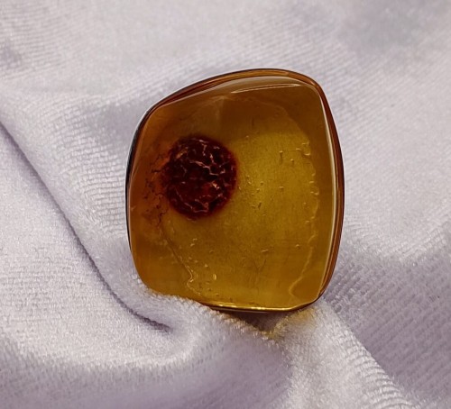 937.jpg