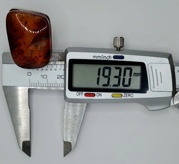 225.jpg