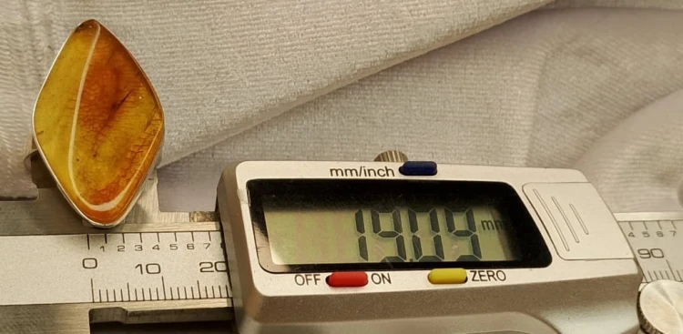 255.jpg