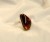 438.jpg