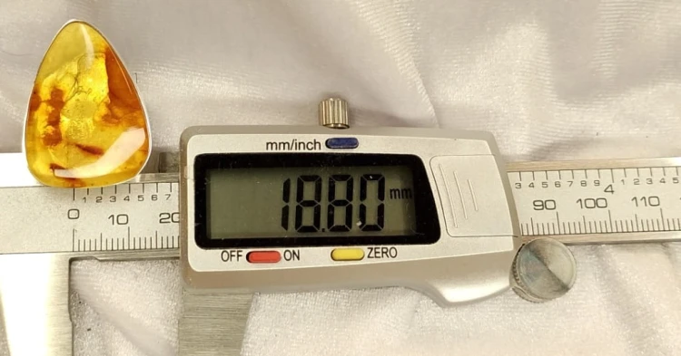 485.jpg