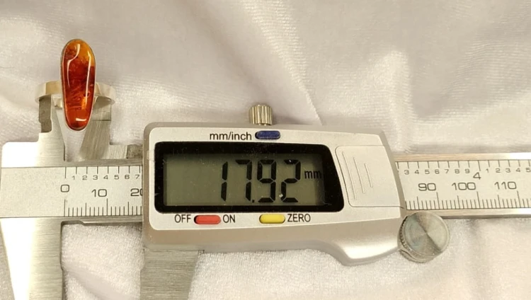 490.jpg