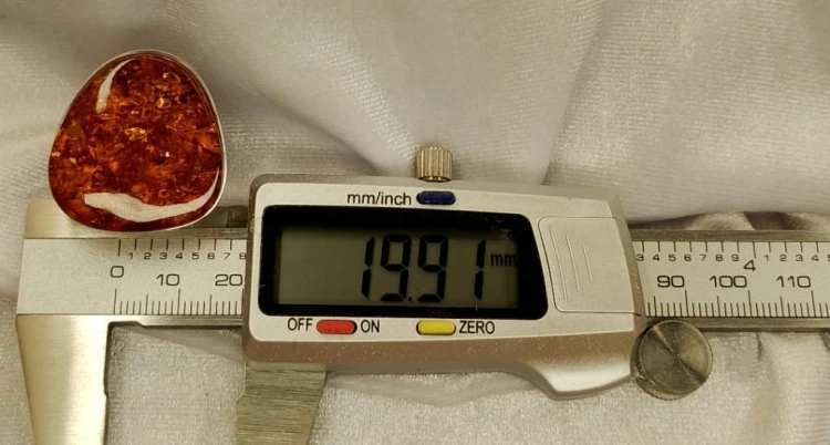 580.jpg
