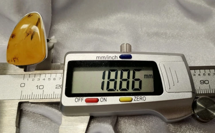 630.jpg
