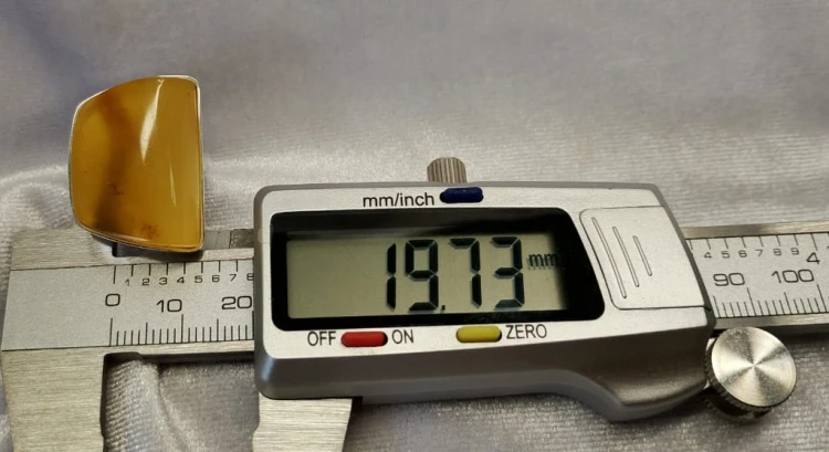 650.jpg