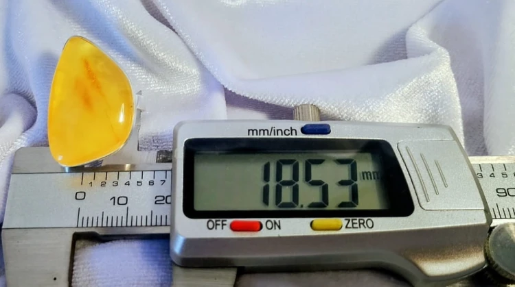 670.jpg