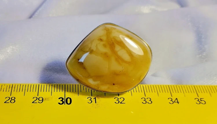 679.jpg