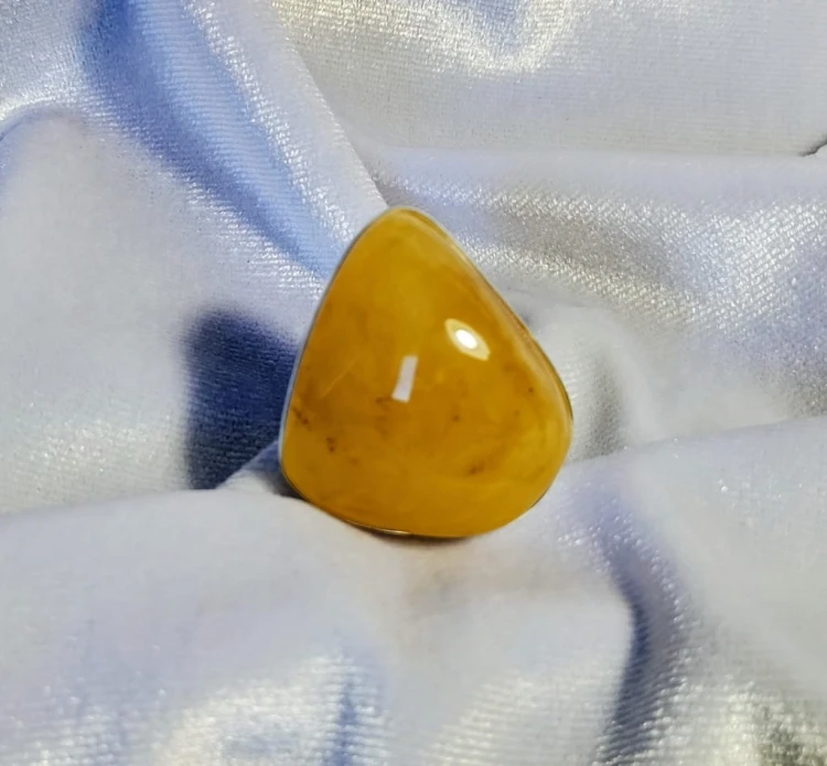 682.jpg