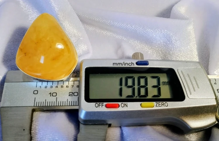 685.jpg