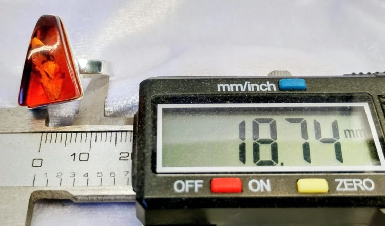 695.jpg