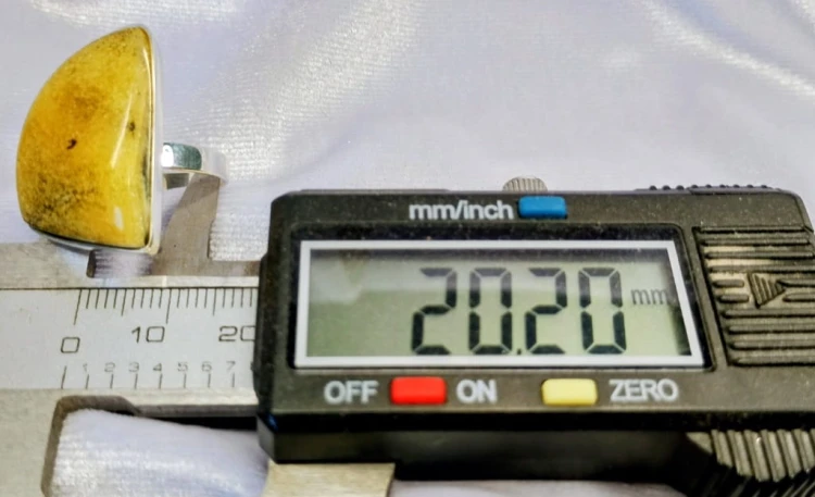 700.jpg